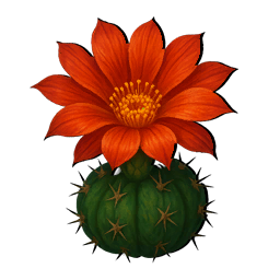 KWIAT KAKTUSA